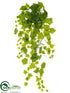 Silk Plants Direct Grape Ivy Leaf Bush - Green - Pack of 6