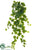 Silk Plants Direct English Ivy Bush - Green - Pack of 6