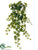Hanging Ivy Bush - Green - Pack of 12