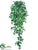 Curly Ivy Hanging Bush - Green Two Tone - Pack of 6