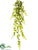 Silk Plants Direct Ivy Hanging Bush - Green Frosted - Pack of 4