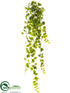 Silk Plants Direct English Ivy Hanging Bush - Green - Pack of 4