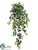 Lace Ivy Hanging Bush - Green - Pack of 12