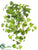 Silk Plants Direct Lace Ivy Bush - Green - Pack of 12