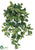 Fruiting Ivy Hanging Bush - Green - Pack of 12