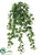 Mini Curly Ivy Hanging Bush - Green - Pack of 12