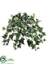Silk Plants Direct Ivy Bush - Variegated - Pack of 12