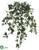 Mini Needle Ivy Bush - Green - Pack of 12