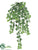 Mini Ivy Vine Hanging Bush - Green - Pack of 12