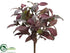 Silk Plants Direct Laurel Bush - Burgundy Green - Pack of 6