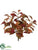 Laurel Leaf Bush - Burgundy Green - Pack of 12