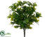 Silk Plants Direct Laurel Leaf Bush - Green - Pack of 12