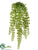 Leaf Bush - Green - Pack of 24