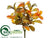 Laurel Leaf Bush - Orange Green - Pack of 12