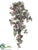 Grape Hanging Bush - Fall Frosted - Pack of 6