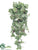 Grape Hanging Bush - Green Frosted - Pack of 6