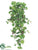 Grape Hanging Bush - Green - Pack of 6