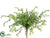 Button Leaf Bush - Green - Pack of 12