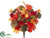Maple Leaf Bush - Mixed - Pack of 12