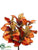 Magnolia Leaf Bush - Orange Mustard - Pack of 6
