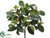 Magnolia Leaf Bush - Green - Pack of 12