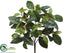 Silk Plants Direct Magnolia Leaf Bush - Green - Pack of 12