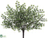 Silk Plants Direct Maidenhair Fern Bush - Green Two Tone - Pack of 12