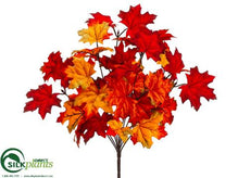 Maple Leaf Bush - Flame Orange - Pack of 12
