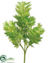 Silk Plants Direct Maple Bush - Green Light - Pack of 36