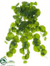 Silk Plants Direct Nasturtium Hanging Bush - Green - Pack of 12