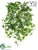 Outdoor Ivy Bush - Green Cream - Pack of 12