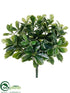 Silk Plants Direct Outdoor Baby Schefflera Bush - Green - Pack of 12