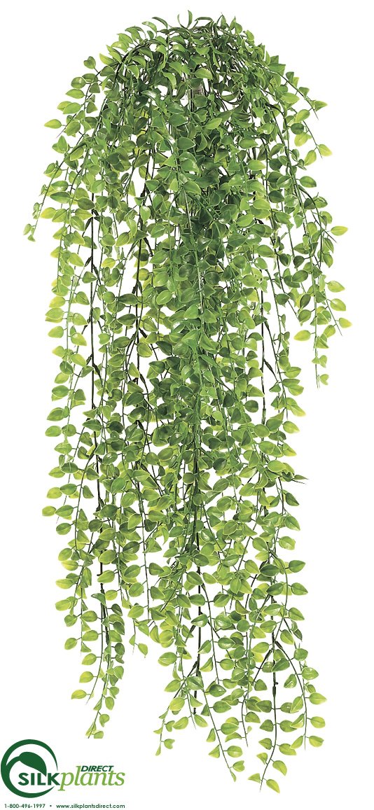 pea hanging plant Silk Plants Direct Pea Leaf Hanging Bush - Green