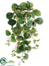 Silk Plants Direct Peperomia Leaf Bush - Green Two Tone - Pack of 6