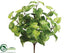 Silk Plants Direct Potato Leaf Bush - Green Light - Pack of 12