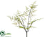 Silk Plants Direct Plumosa Bush - Green - Pack of 12