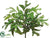Fishtail Palm Bush - Green - Pack of 6