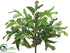 Silk Plants Direct Fishtail Palm Bush - Green - Pack of 6
