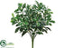 Silk Plants Direct Pittosporum Bush - Green Cream - Pack of 12