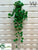 Outdoor Peperomia Hanging Bush - Green - Pack of 12