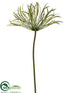 Silk Plants Direct Papyrus Spray - Green - Pack of 12
