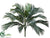 Phoenix Palm Bush - Green - Pack of 12