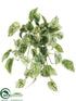 Silk Plants Direct Pothos Bush - Green Variegated - Pack of 6