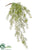 Silk Plants Direct Sprengeri Hanging Bush - Green - Pack of 12