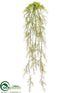 Silk Plants Direct Sprengeri Hanging Bush - Green - Pack of 4