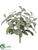 Sage Bush - Green Frosted - Pack of 12
