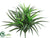 Silk Plants Direct Dracaena Bush - Green - Pack of 24