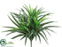 Silk Plants Direct Dracaena Bush - Green - Pack of 24