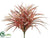 Dracaena Bush - Pink - Pack of 24