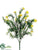 Flowering Springeri Bush - Yellow - Pack of 12